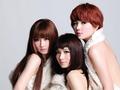 SHEٳר HEBE䶳