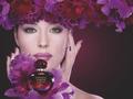 ع ϰHypnotic Poisonϵˮ