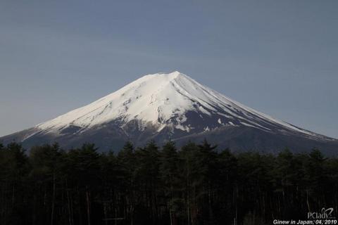 幸福旅途-人间四月日本樱花季