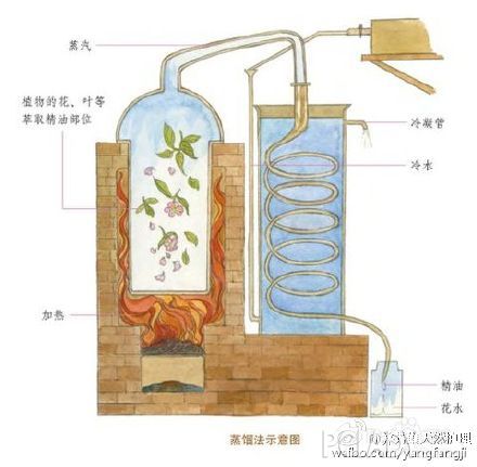 我以前做过实验的,冬天的时候石油醚根本没萃取出东西来,室温的时候就