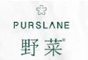 PURSLANE