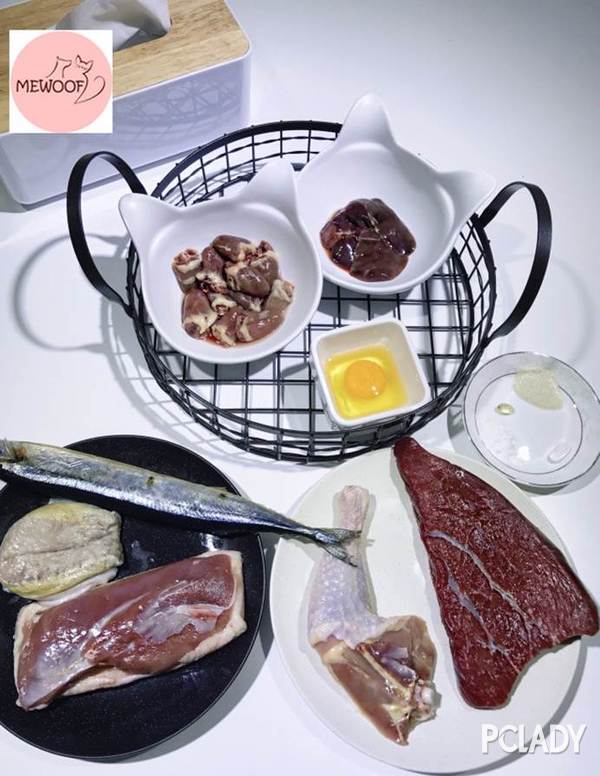 Mewoof喵了个汪:掌握这三个最强养猫技巧,你就