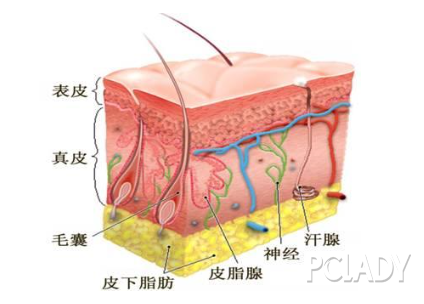 揭秘:脸过敏了怎么快速脱敏,脸部过敏让人深夜